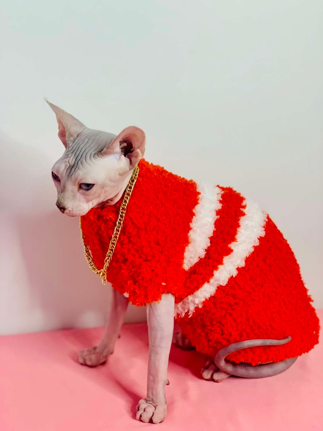 猫服  スフィンクス | サンタスフィンクスの冬支度セット