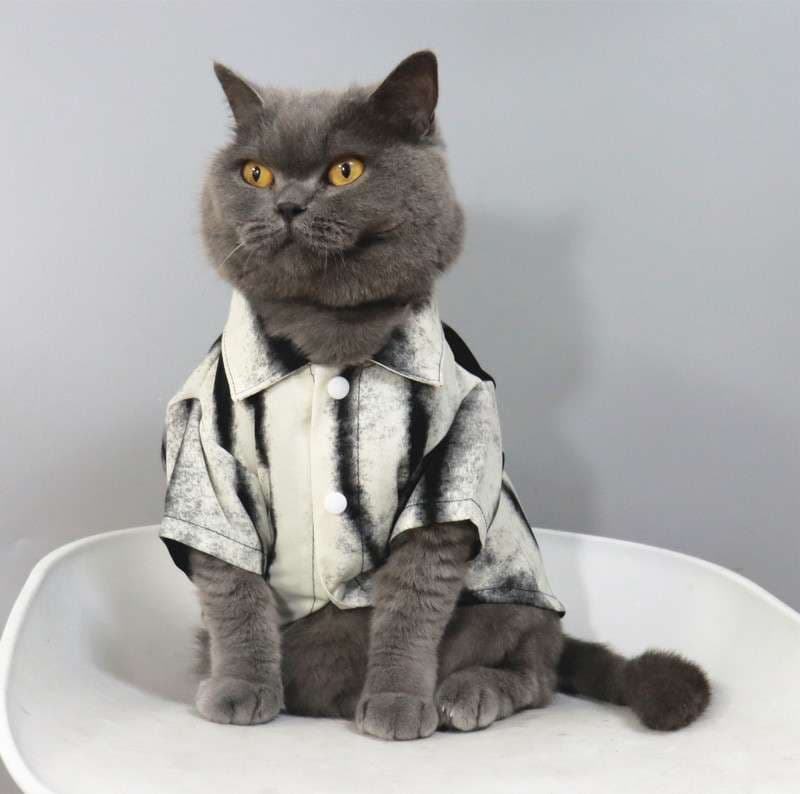 猫服  洋服 | 猫様のビジネスカジュアル