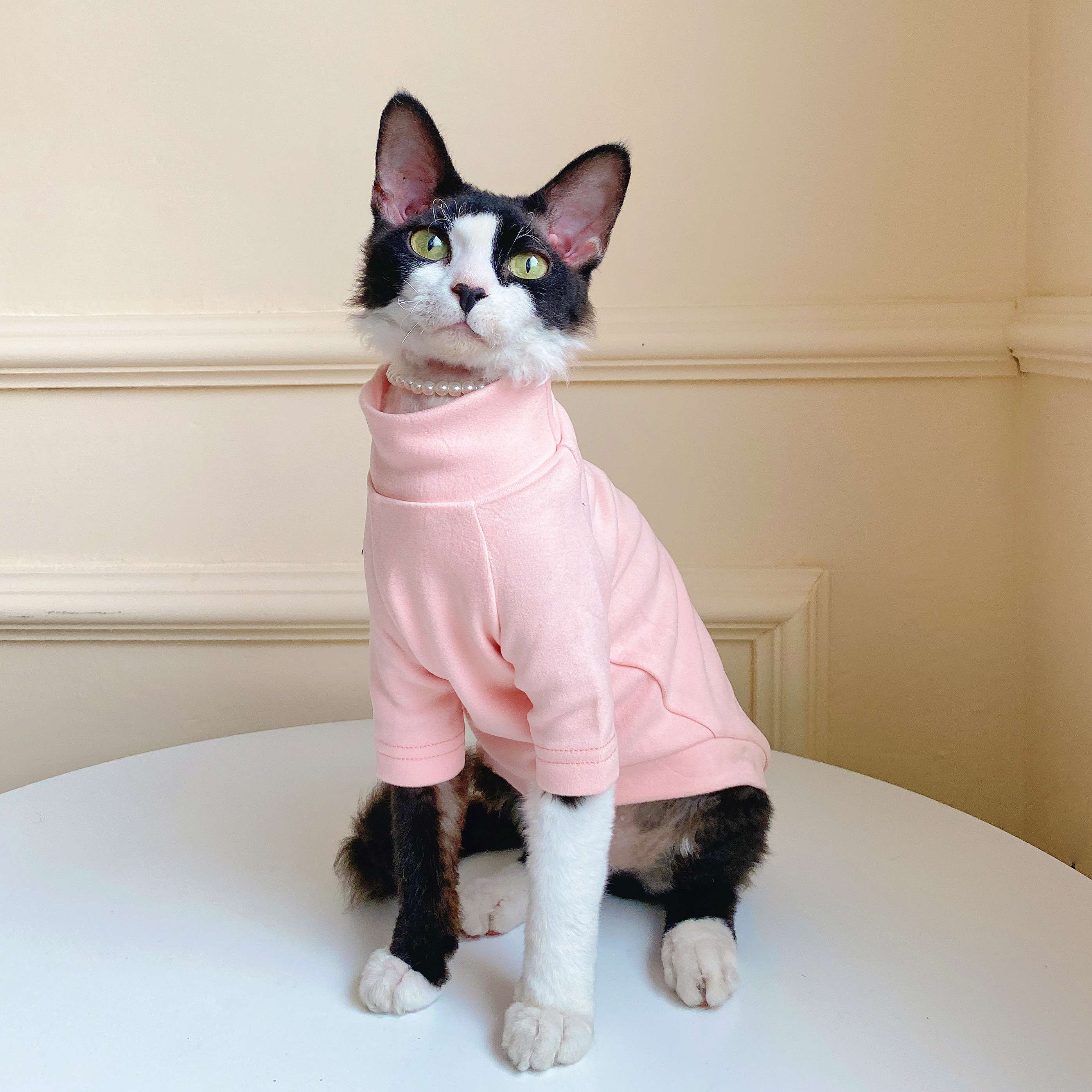 猫服  術後服 | にゃんこの優しい術後ウェア