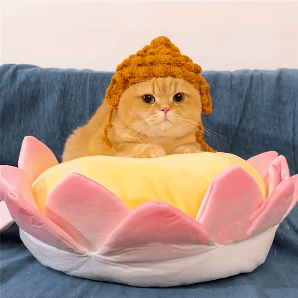 猫服  帽子 | ぽこぽこニット帽 猫用あったかキャップ