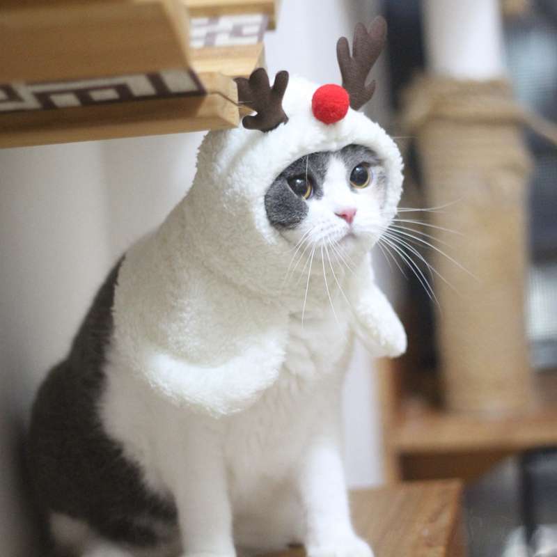 猫服  コスプレ | もふもふトナカイ猫ちゃんコスプレ帽子