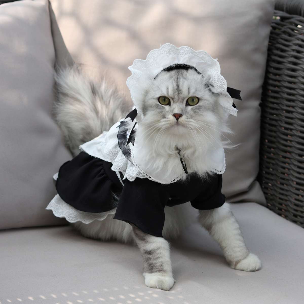 猫服  コスプレ | メイド風フリルワンピース