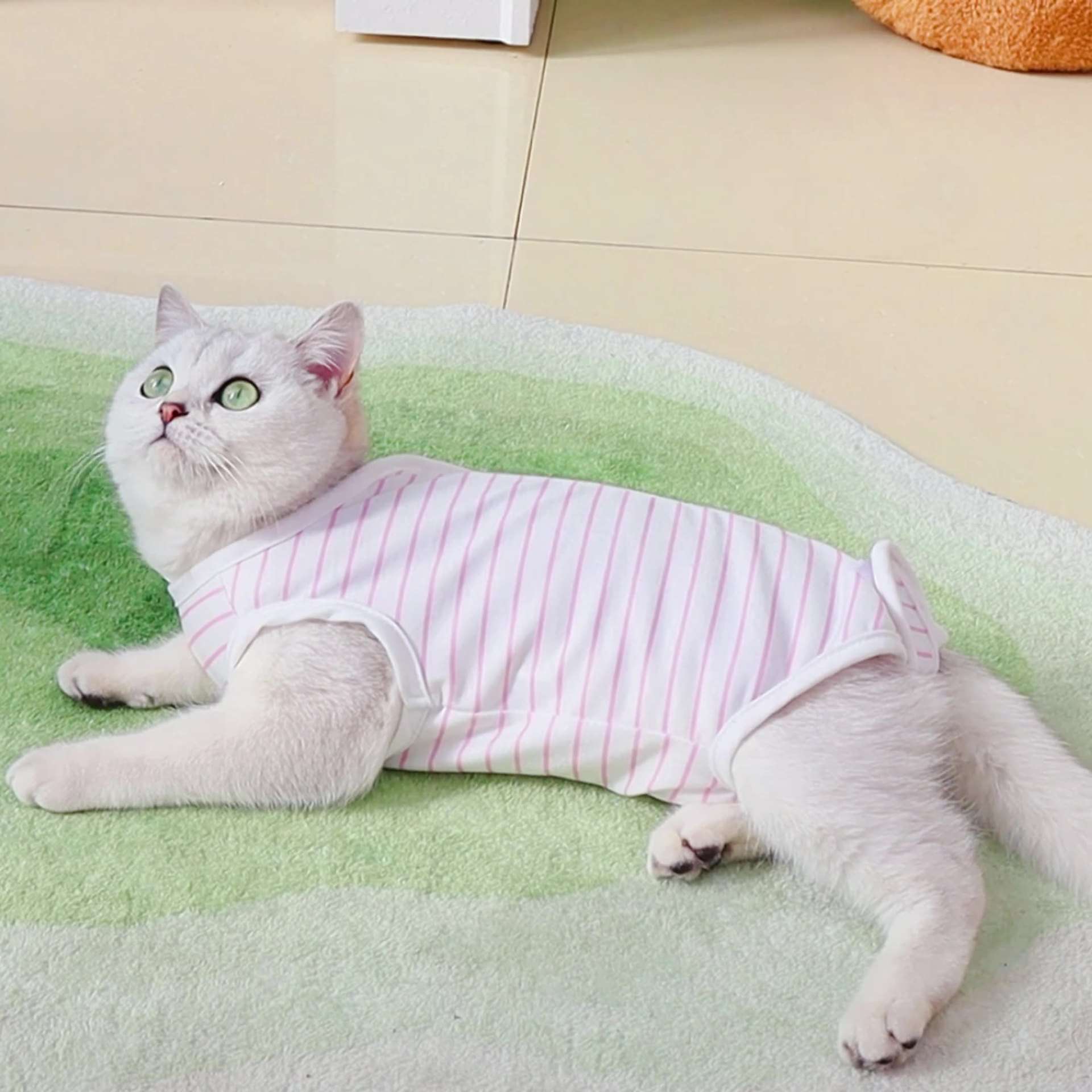 猫服  術後服 | やさしい肌触り 猫用術後服