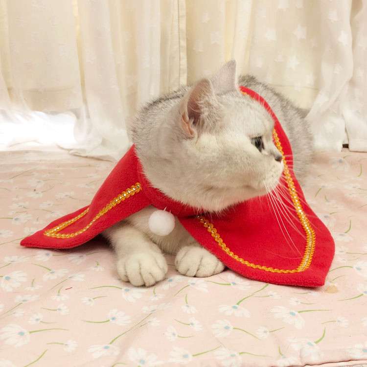 猫服  コスプレ | 魔法使い猫ちゃんコスプレセット