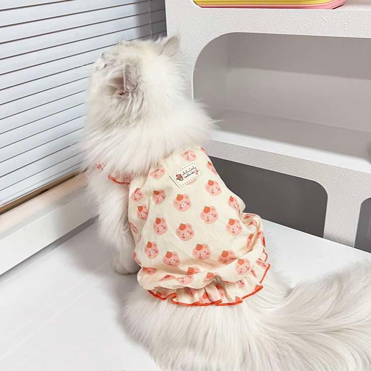 猫服  洋服 | ふんわりレース襟の猫用ワンピース