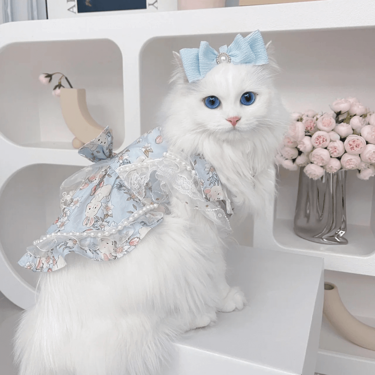 猫服  洋服 | エンジェルブルーム フリルドレス