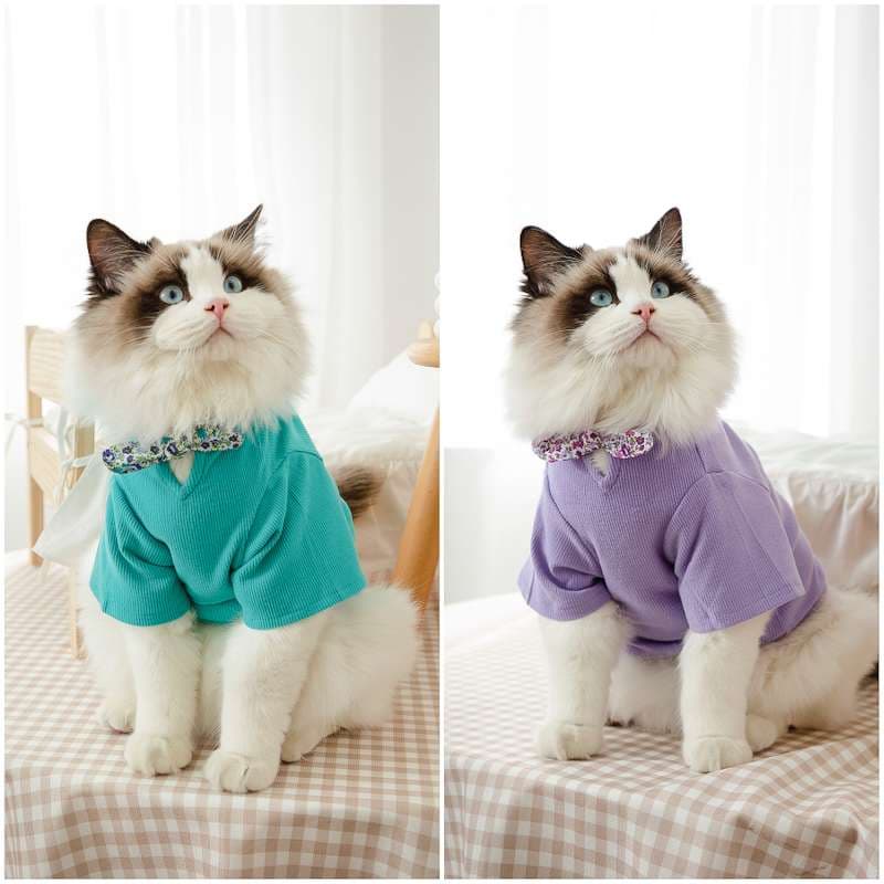 猫服  洋服 | ふわもこ猫ちゃんの季節のお洒落トップス