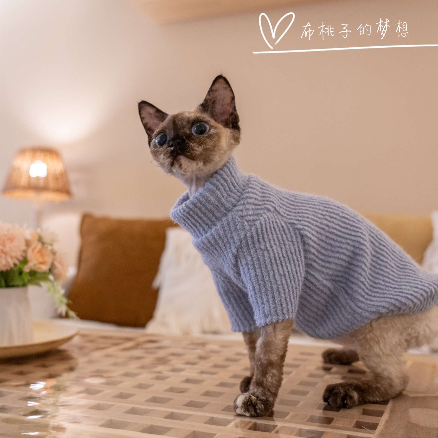 猫服  スフィンクス | スフィンクス用あったかリブニットセーター