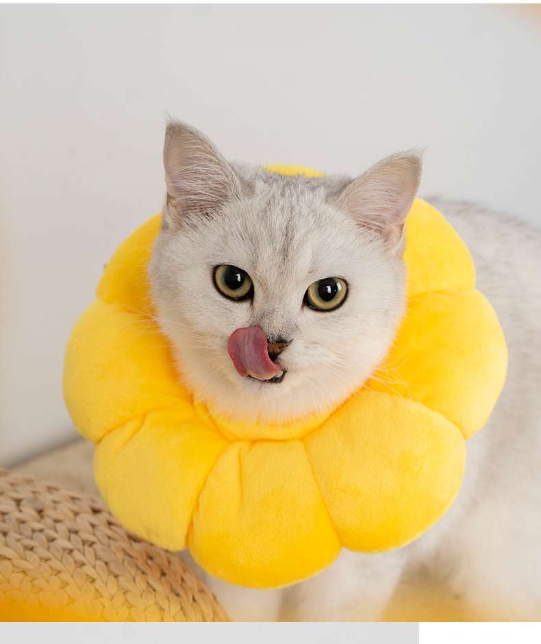 猫服 猫 エリザベスカラー | ふわふわ花びら型エリザベスカラー