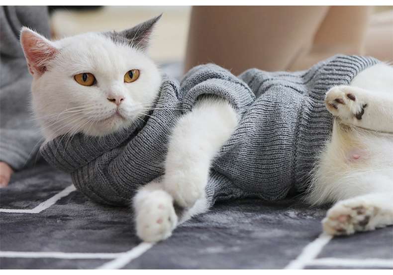 猫服  防寒服 | もこもこケーブル編みキャットセーター