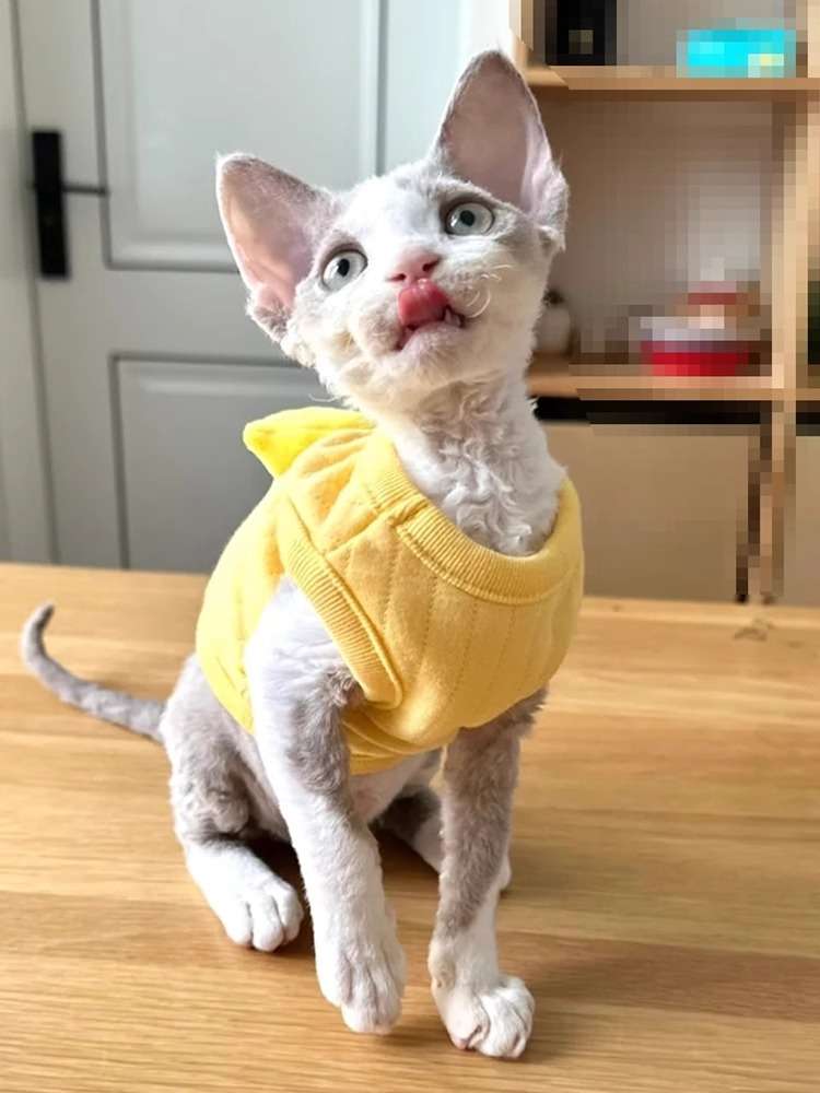 猫服  コスプレ | ヒヨコ風ペット用コスチューム