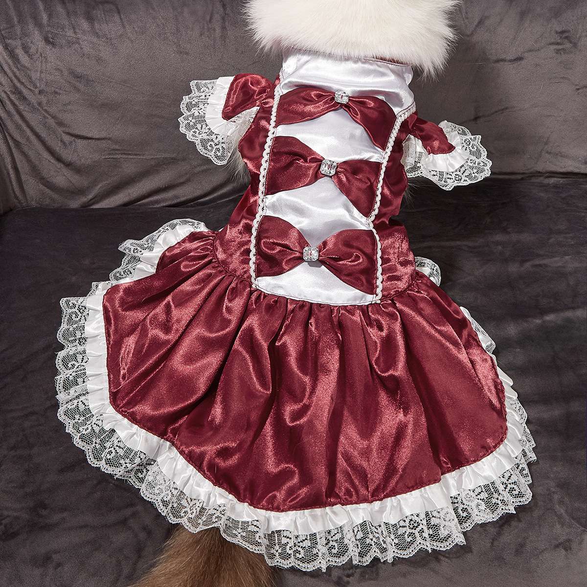 猫服  コスプレ | 猫用メイド風ドレス