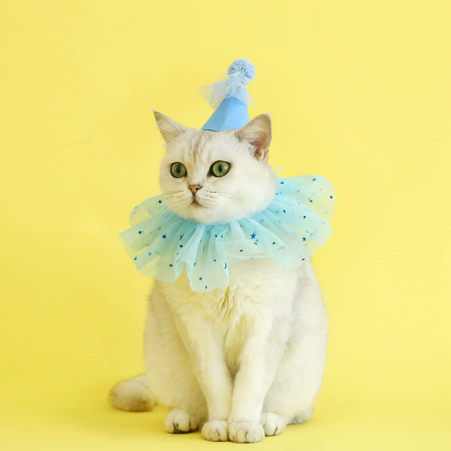 猫服  コスプレ | お誕生日お祝い猫用よだれかけ＆パーティーハット