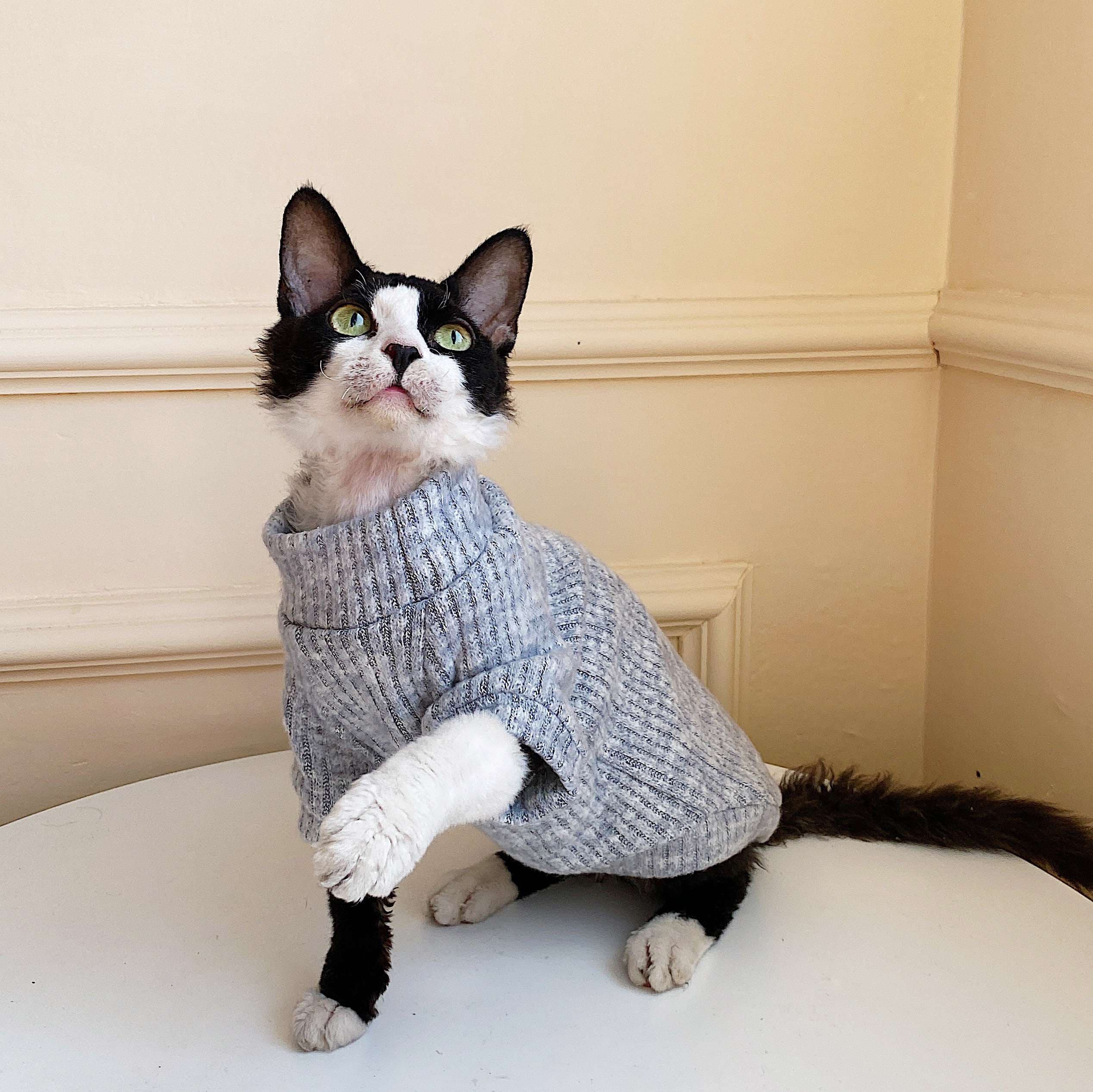 猫服  スフィンクス | スフィンキャットのニットセーター