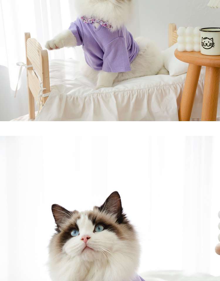 猫服  洋服 | ふわもこ猫ちゃんの季節のお洒落トップス
