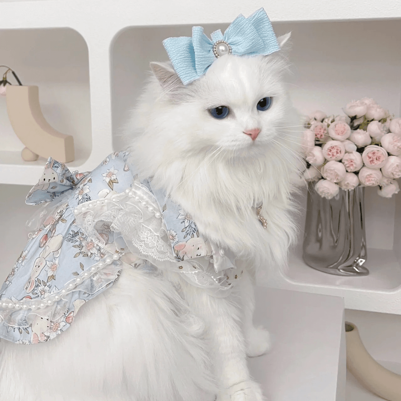 猫服  洋服 | エンジェルブルーム フリルドレス