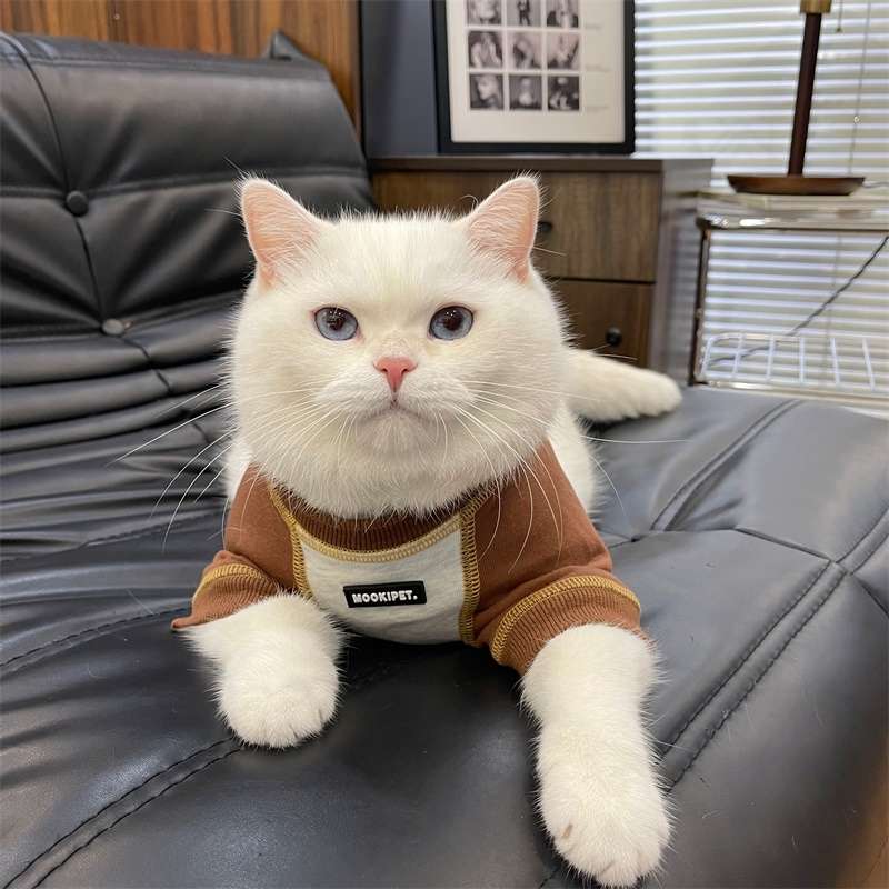 猫服  洋服 | ペット用おしゃれカジュアルウェア3点セット