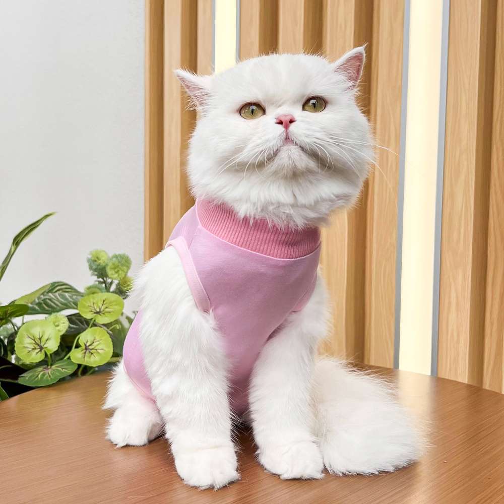 猫服  術後服 | 猫用カラフル術後服 快適ケアウェア