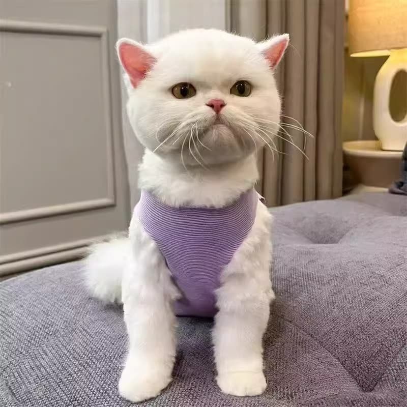 猫服  リボン結び術後ウェア