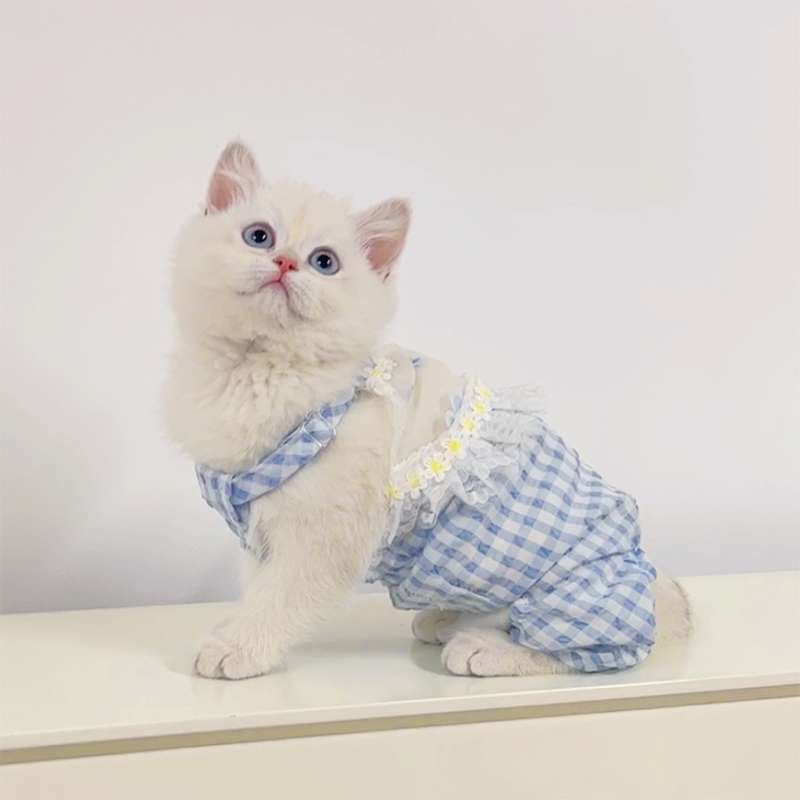 猫服  洋服 | もこもこクマさん柄キャットロンパース