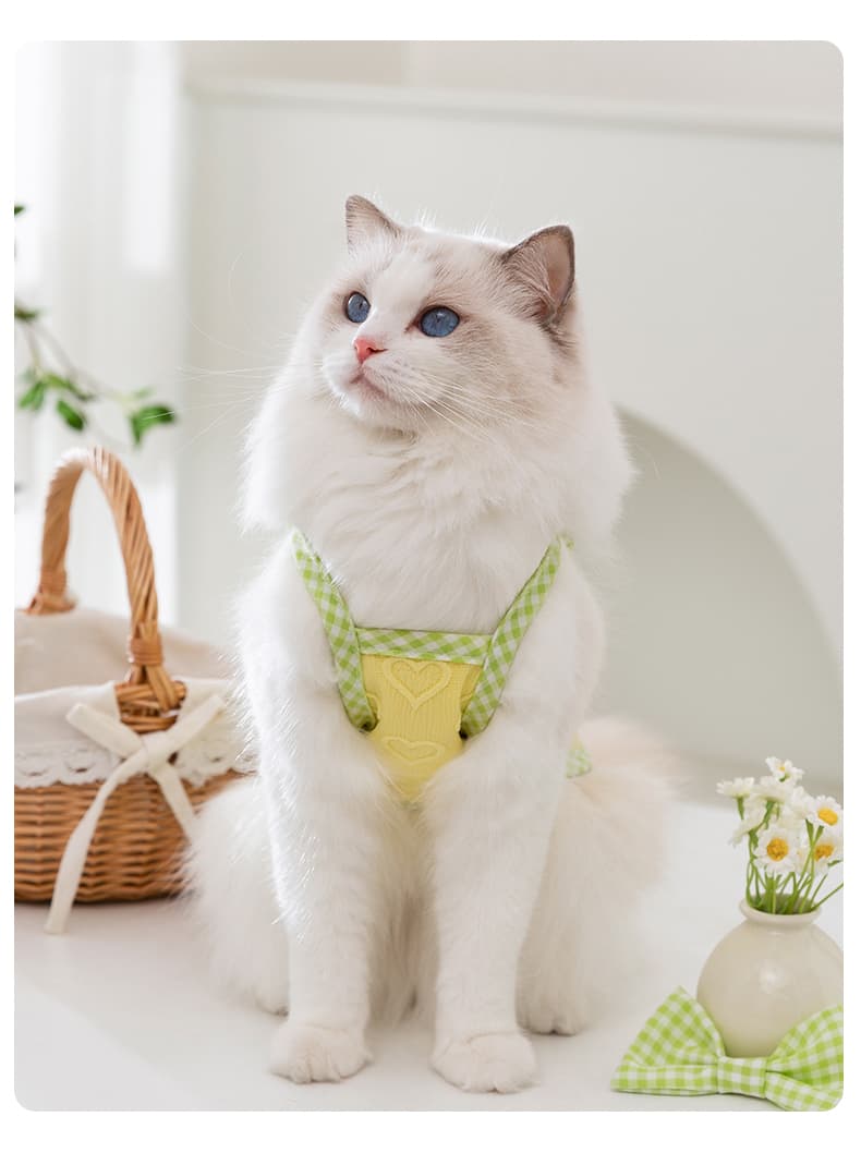 猫服  洋服 | ギンガムチェックリボン付き春待ちベスト