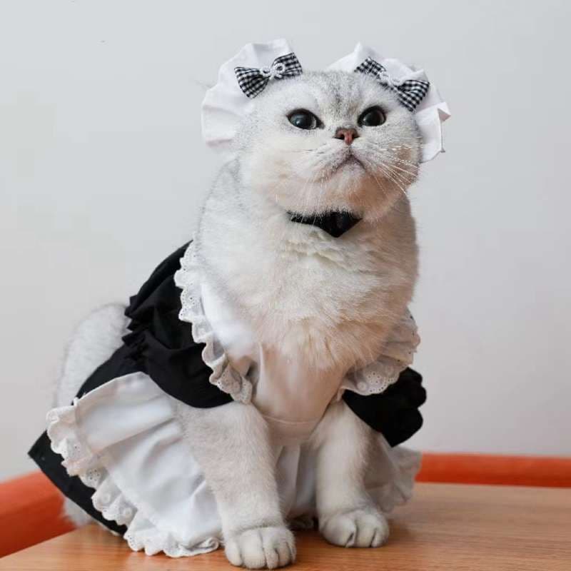 猫服  コスプレ | メイド風フリルドレス猫用コスチューム