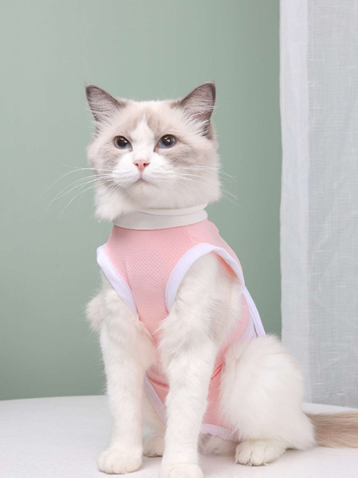 猫服  術後服 | やわらか術後ウェア 猫用リボン付き