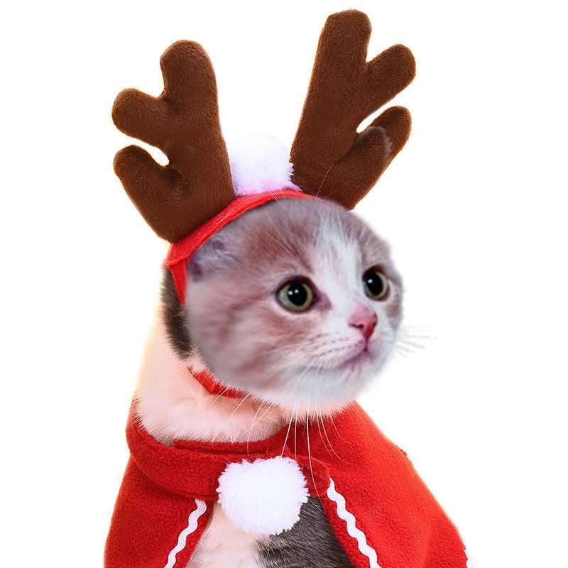 猫服  コスプレ | ねこちゃんのクリスマスコスプレ3点セット