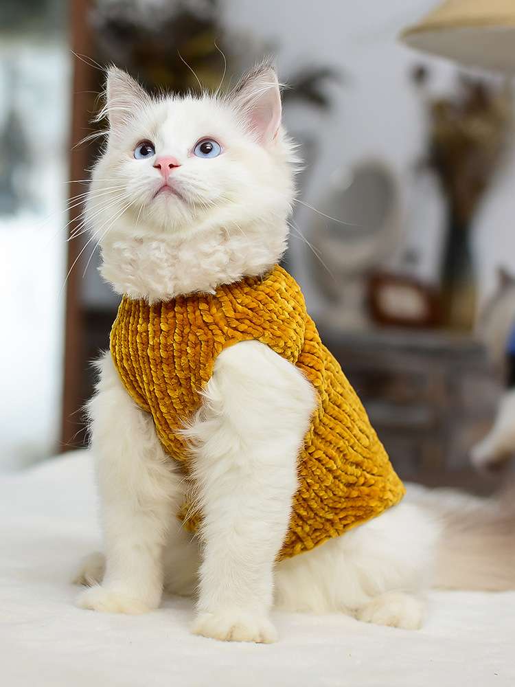 猫服  防寒服 | もこもこ猫ちゃんウォーマー