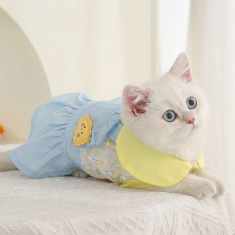 猫服  洋服 | ガーリーメイド風フリルワンピース