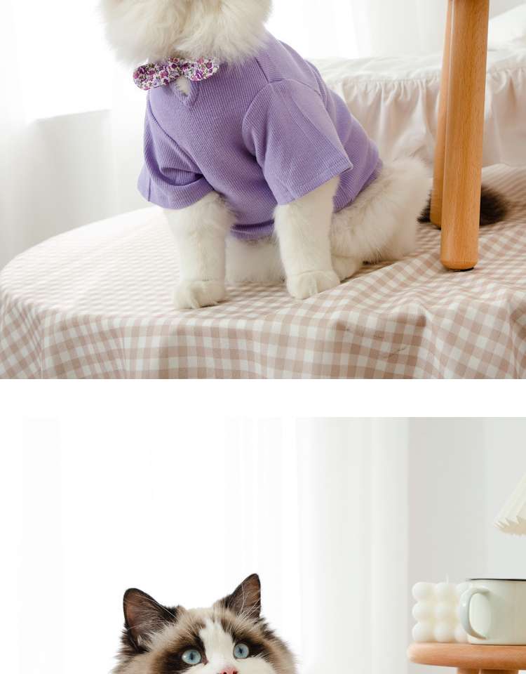 猫服  洋服 | ふわもこ猫ちゃんの季節のお洒落トップス