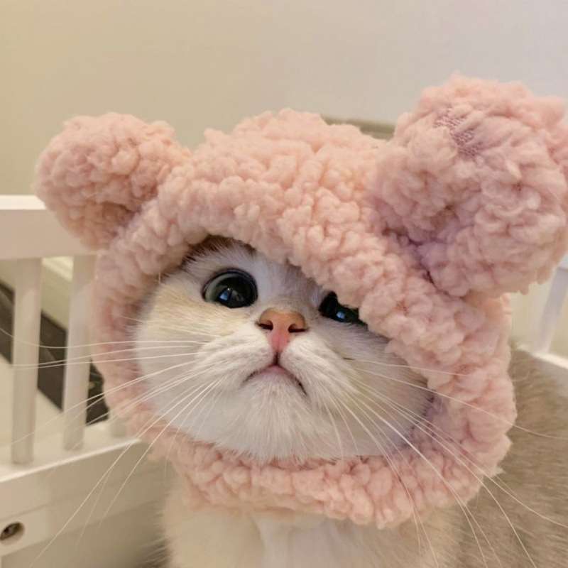 猫服  帽子 | もふもふ耳付き猫ちゃん帽子