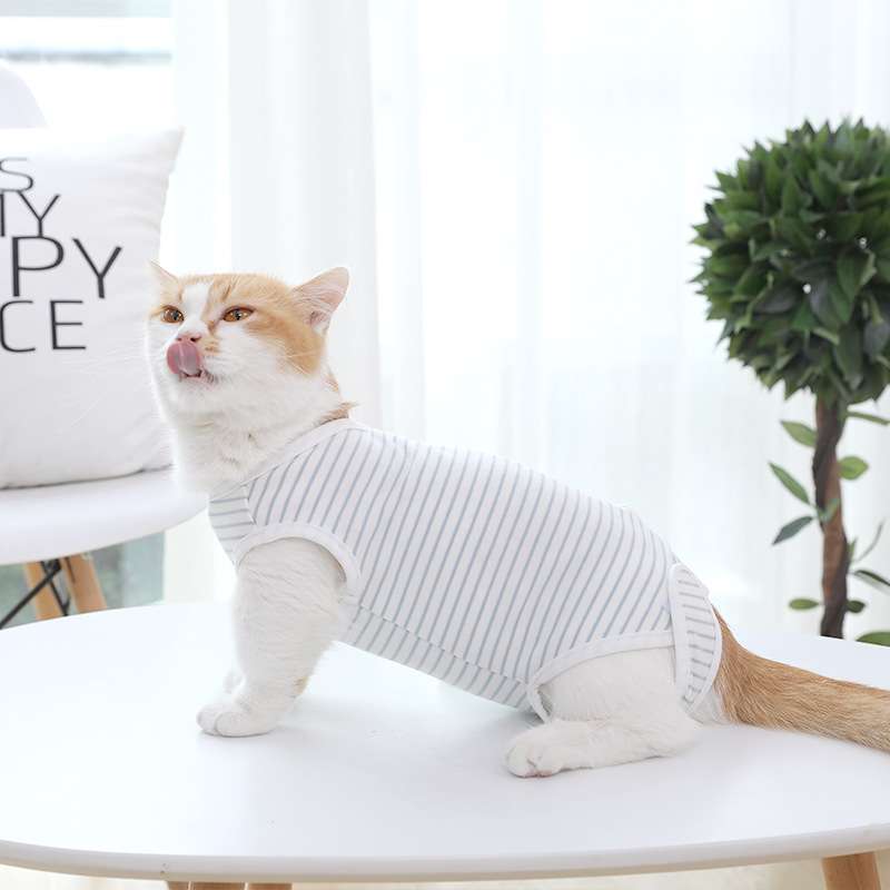 猫服  術後服 | 優しいフィット感で回復をサポートする 猫用術後服