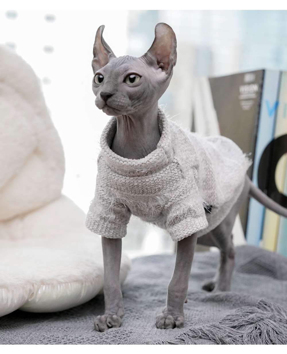 猫服  スフィンクス | もこもこシャツで暖かスフィンクス