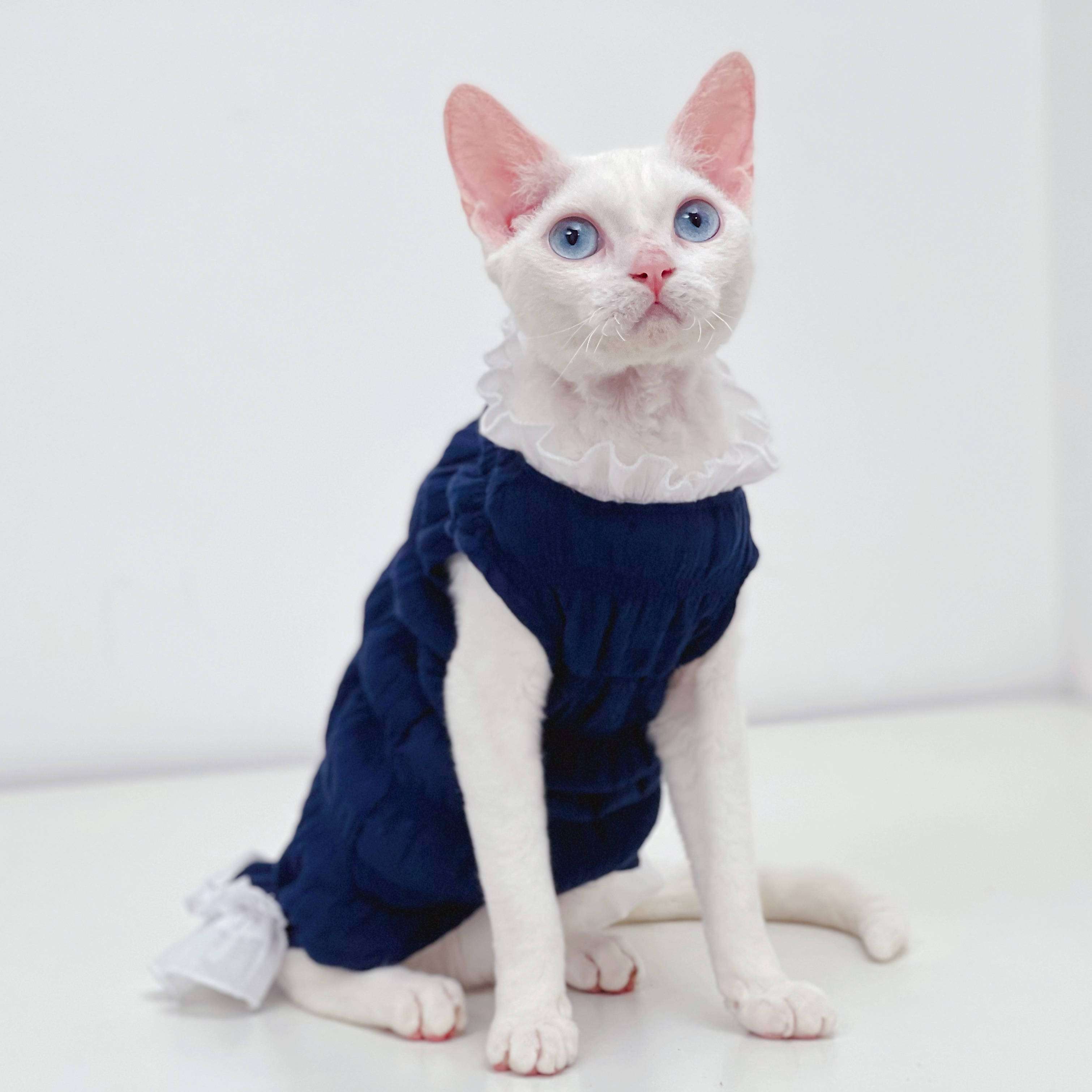 猫服 猫 エリザベスカラー | ふりふりメイド風エリザベスカラー