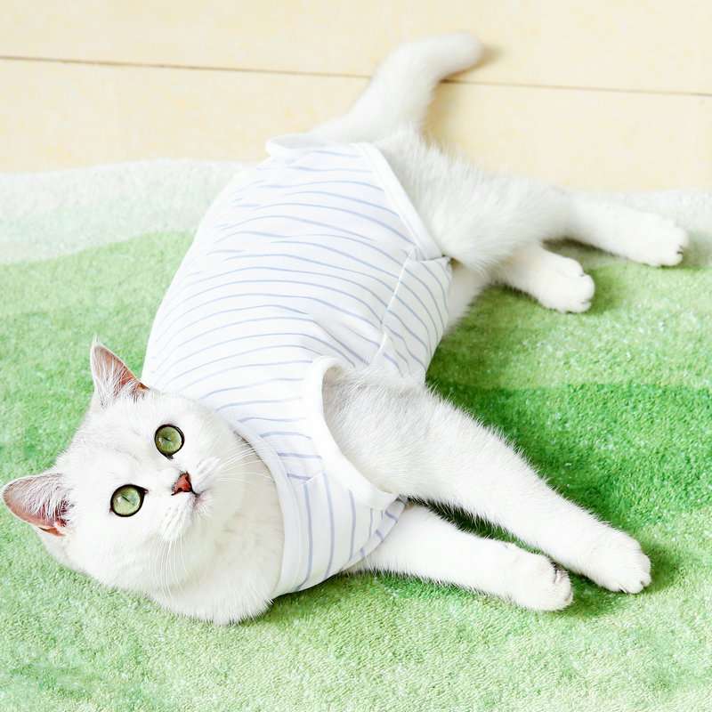 猫服  洋服 | ふわもこ猫ちゃん用ボディスーツ