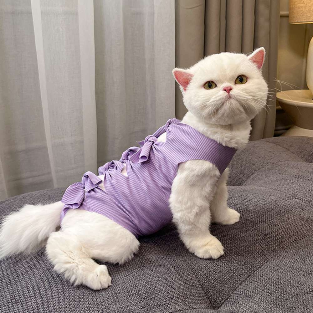 猫服  術後服 | もふもふ猫ちゃんの癒しリボン術後服