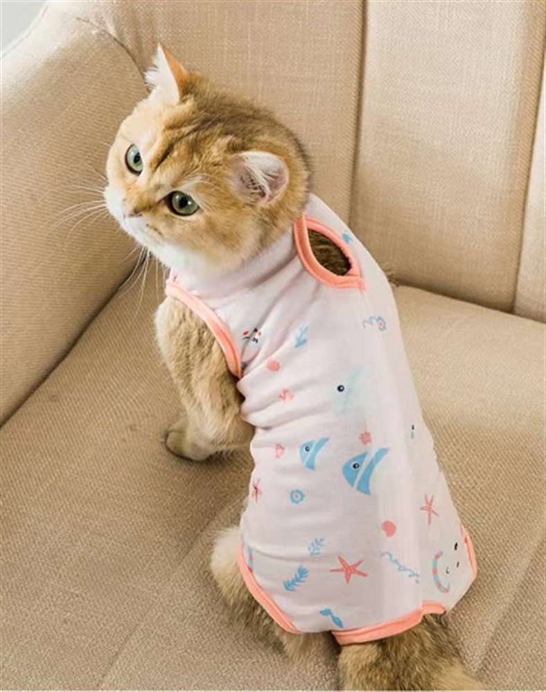 猫服  術後服 | もふもふ猫ちゃん用術後服