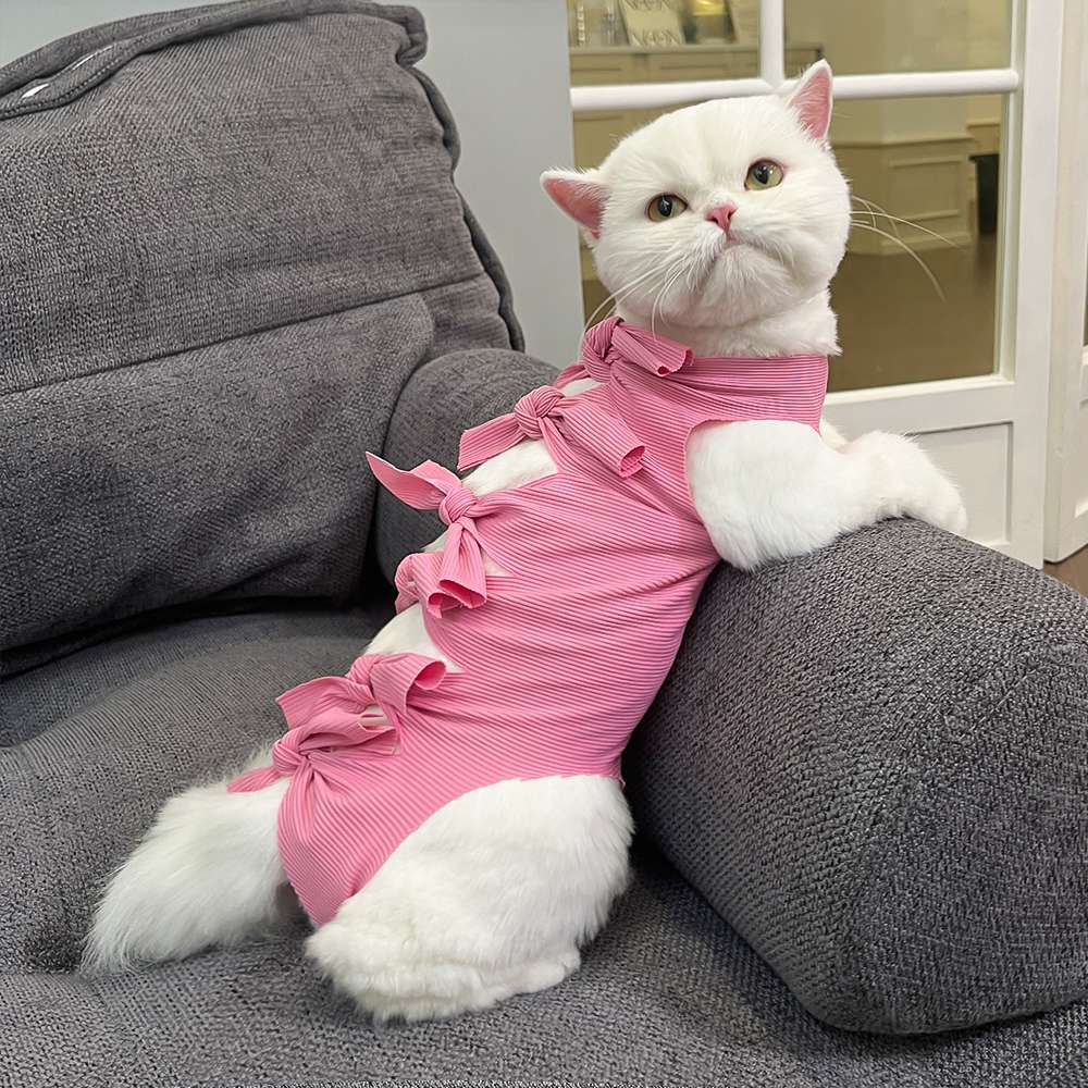 猫服  術後服 | もふもふ猫ちゃんの癒しリボン術後服
