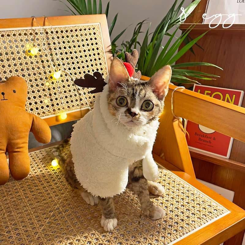 猫服  コスプレ | ペット用ホリデーコスチューム3点セット