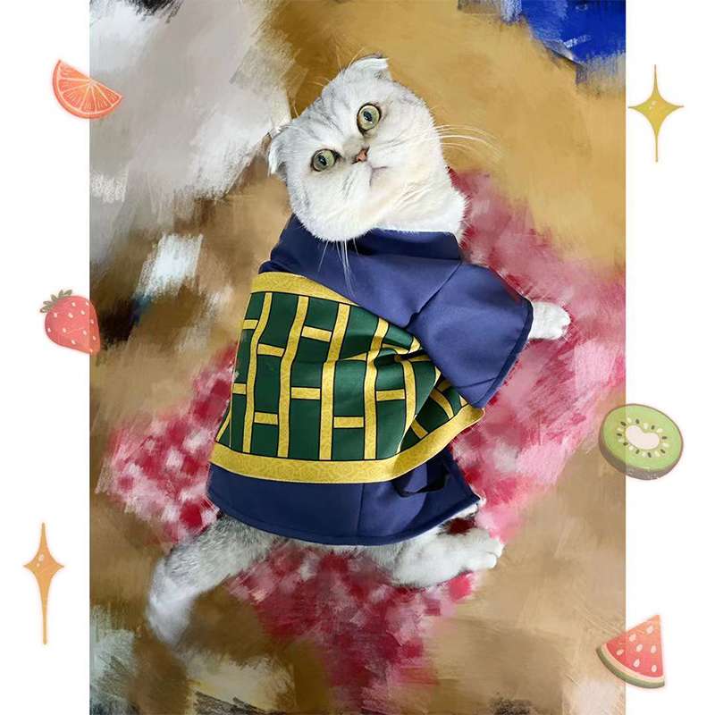 猫服  コスプレ | おしゃれな和風のコスプレ！侍スタイルに大変身！