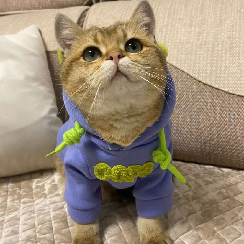 猫服  洋服 | もこもこ耳付きフード付きキャット着ぐるみ