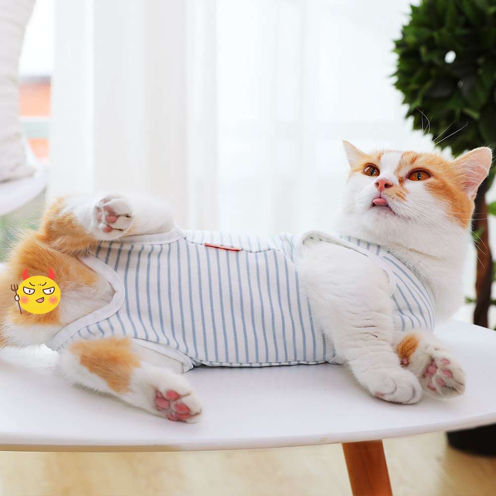 猫服  術後服 | 猫用ストライプ柄術後服快適ウェア