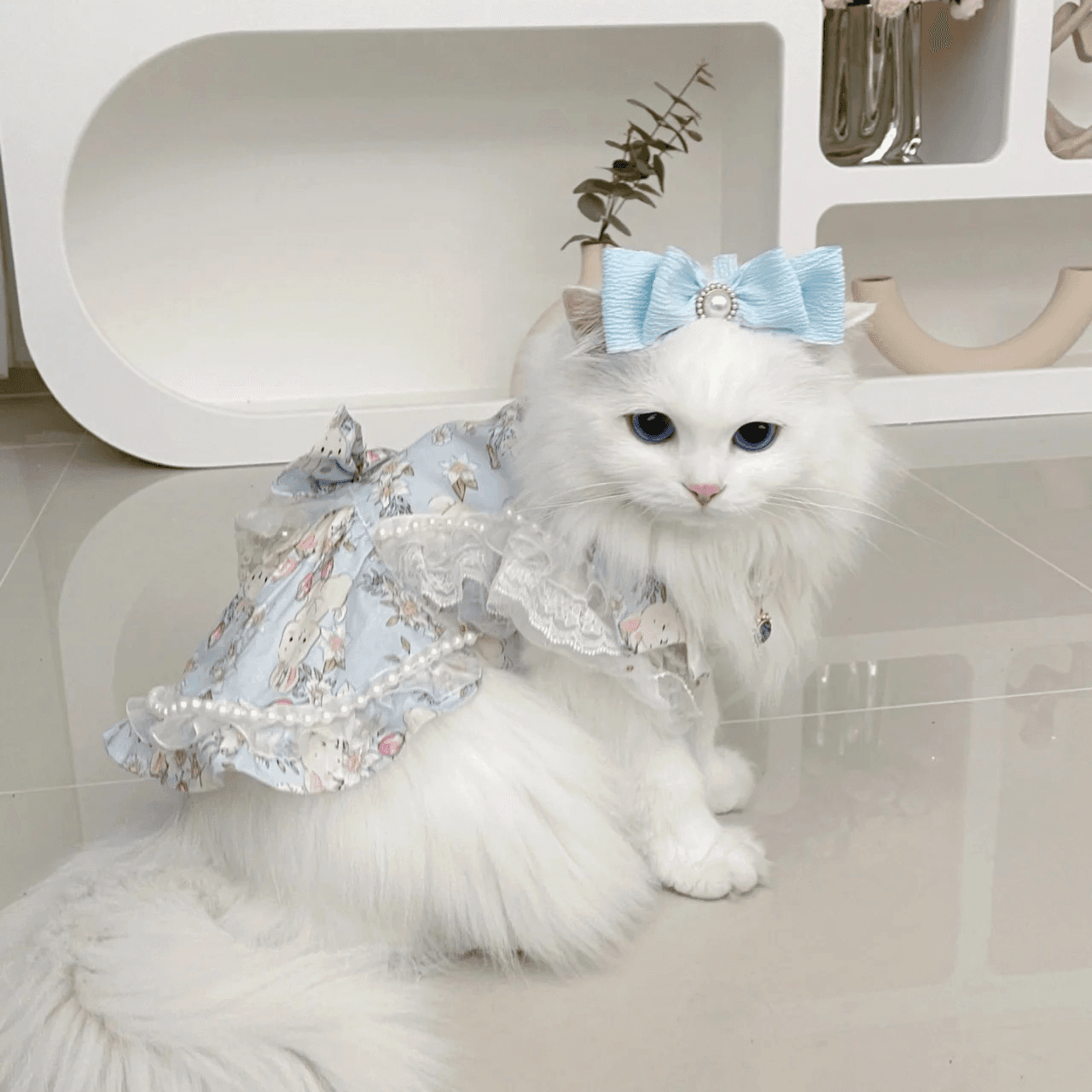猫服  洋服 | エンジェルブルーム フリルドレス