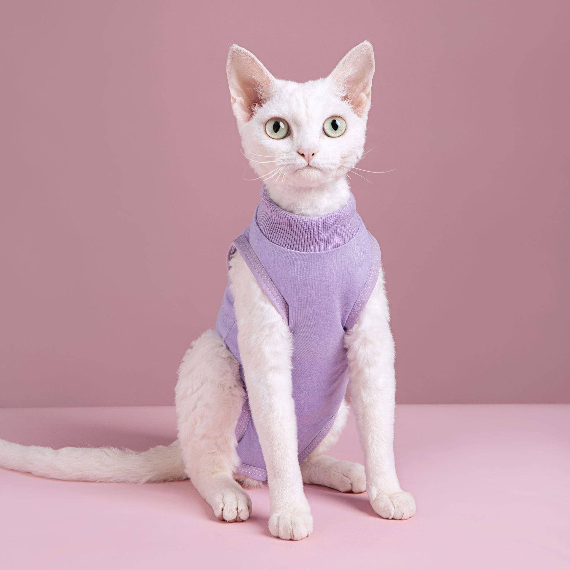 猫服  洋服 | やわらか着心地のタートルネック
