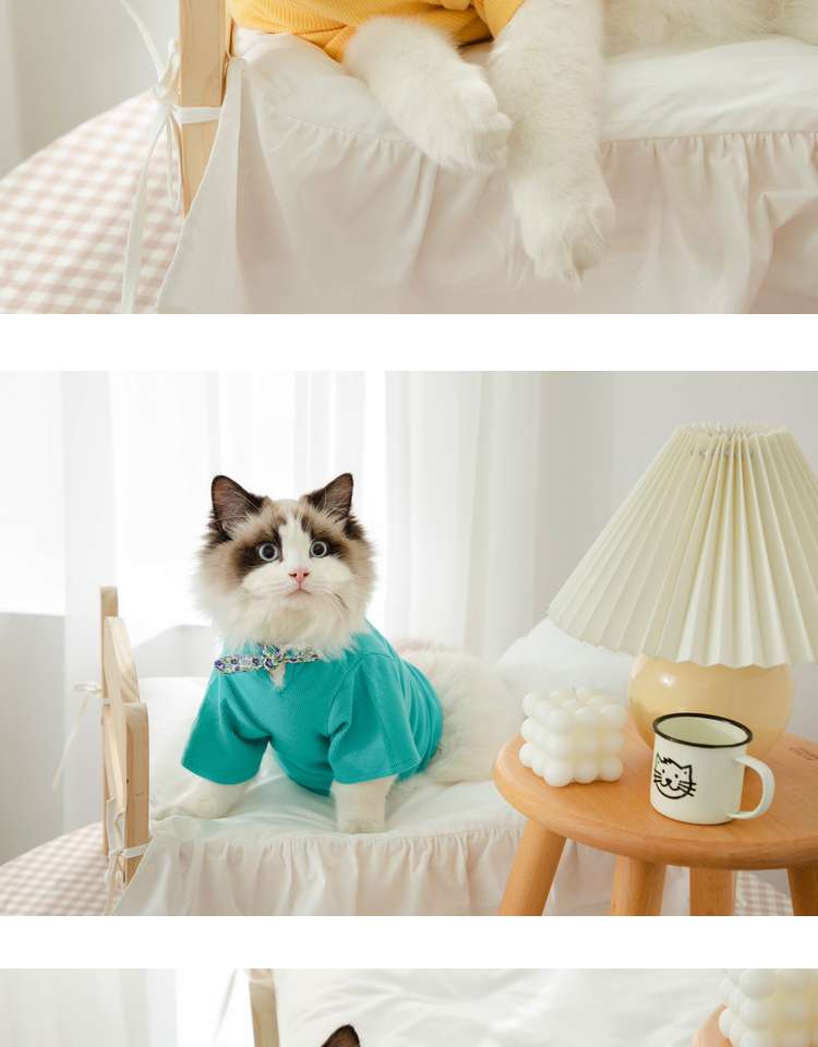 猫服  洋服 | ふわもこ猫ちゃんの季節のお洒落トップス