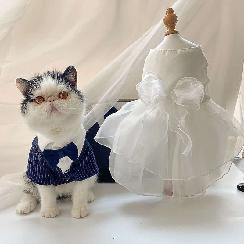 猫服  コスプレ | ネコちゃんのタキシード風ウェディング衣装