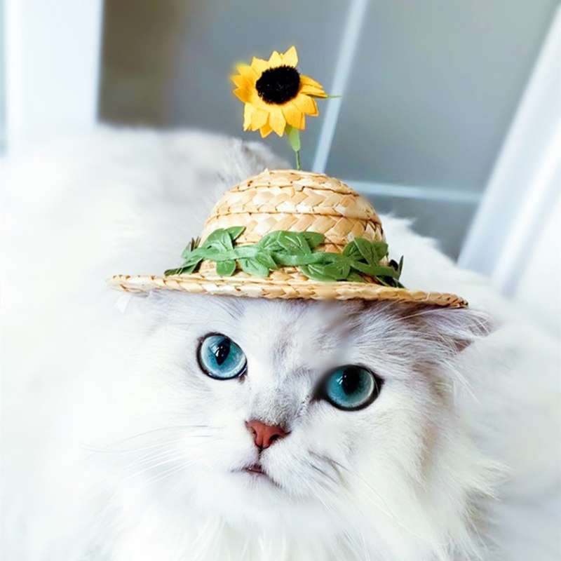 猫服  帽子 | ひまわり付きミニ麦わら帽子