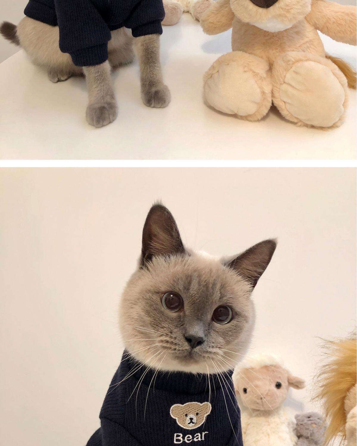 猫服 小熊刺繍入りふわもこ袖口あったか猫用編み上着
