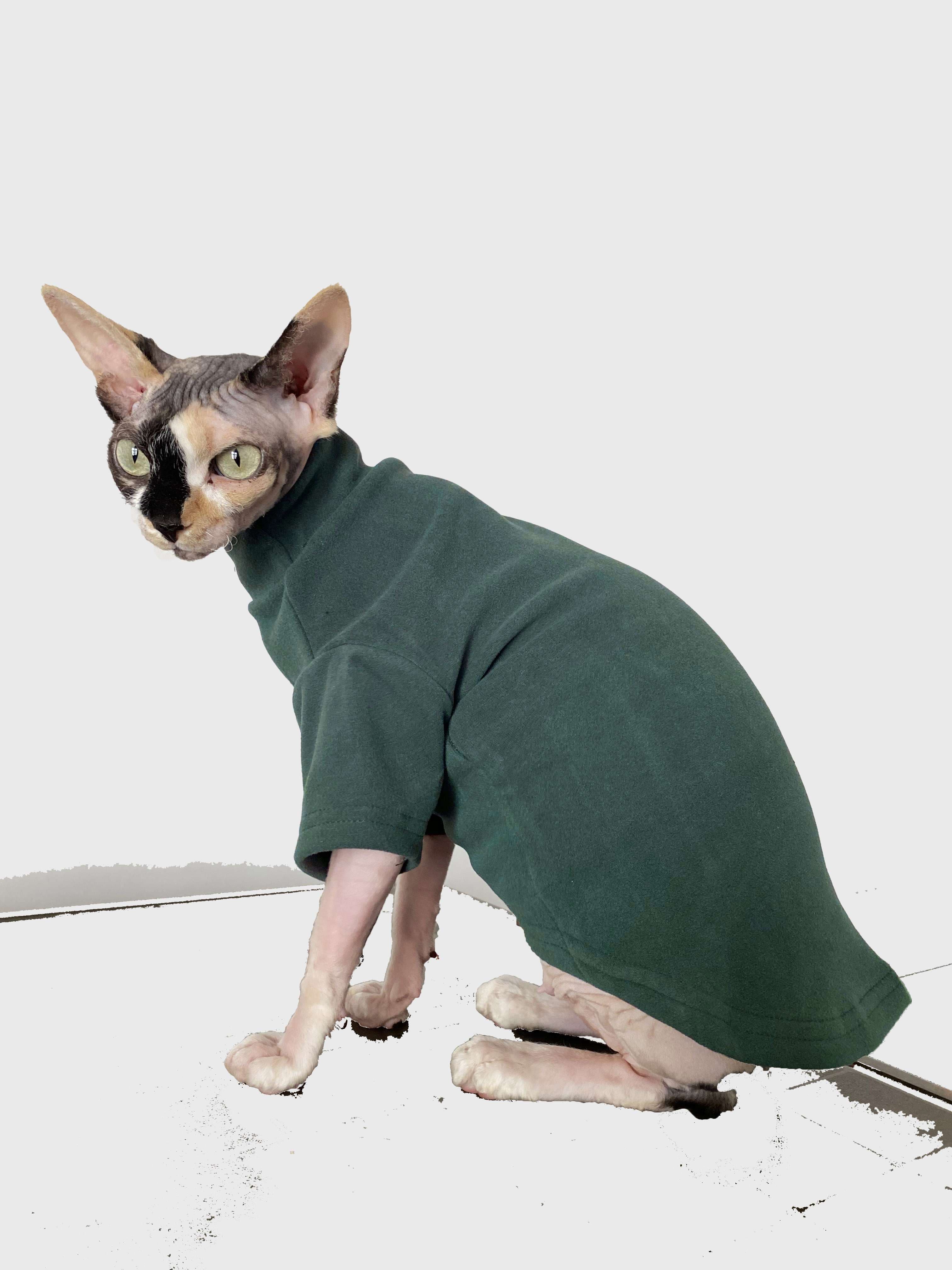 猫服  スフィンクス | スフィンクスの癒し術後服